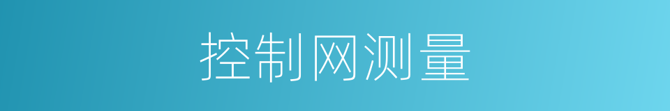 控制网测量的同义词