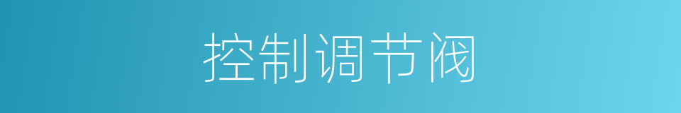 控制调节阀的同义词