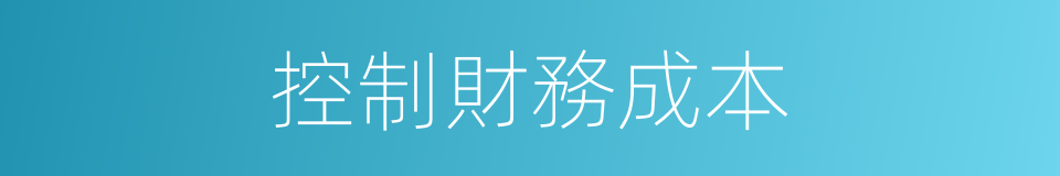 控制財務成本的同義詞