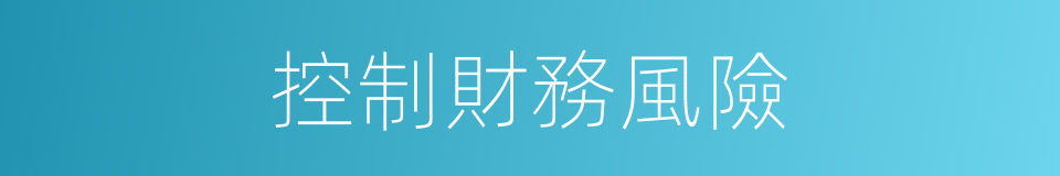控制財務風險的同義詞