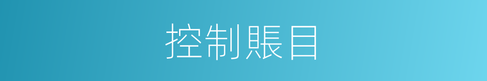 控制賬目的同義詞