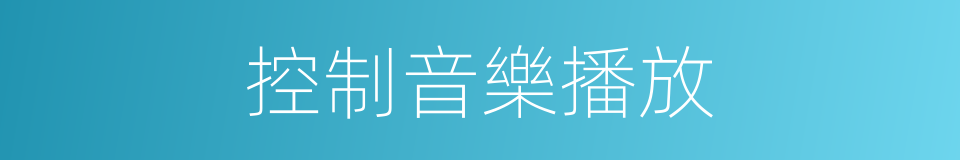 控制音樂播放的同義詞