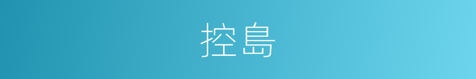 控島的同義詞