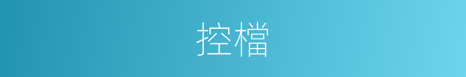 控檔的同義詞