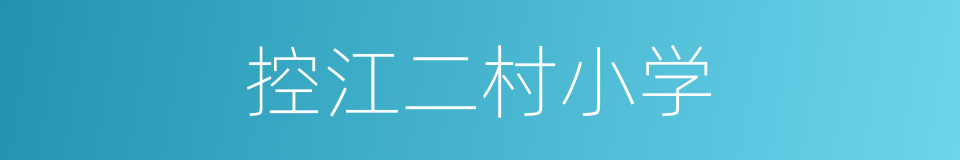 控江二村小学的同义词