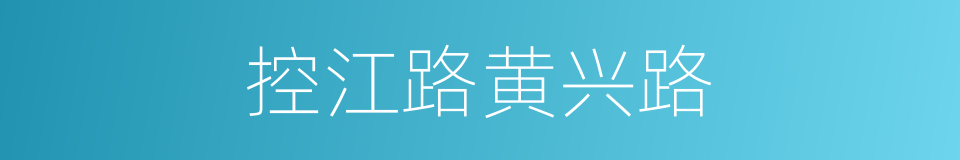 控江路黄兴路的同义词