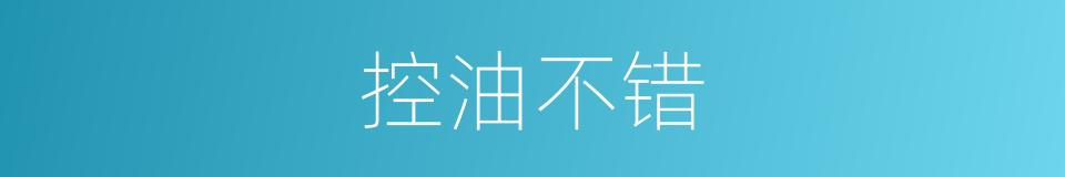 控油不错的同义词