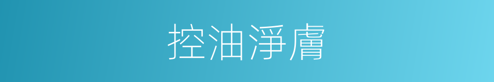 控油淨膚的同義詞