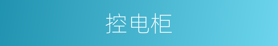 控电柜的同义词