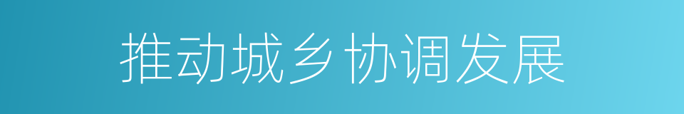 推动城乡协调发展的同义词