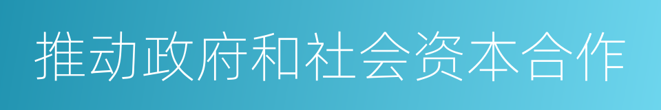 推动政府和社会资本合作的同义词