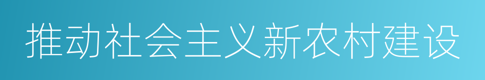 推动社会主义新农村建设的同义词