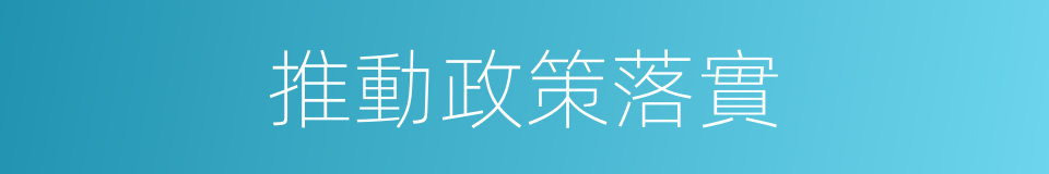 推動政策落實的同義詞