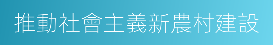 推動社會主義新農村建設的同義詞