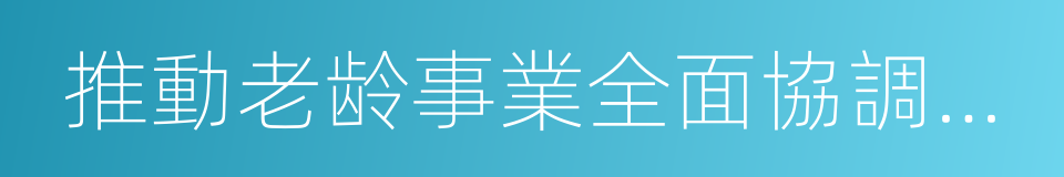 推動老龄事業全面協調可持續發展的同義詞