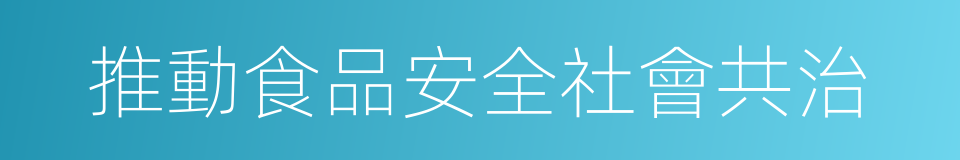 推動食品安全社會共治的同義詞