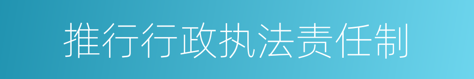 推行行政执法责任制的同义词