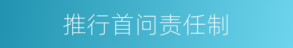 推行首问责任制的同义词