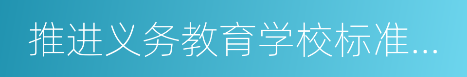 推进义务教育学校标准化建设的同义词