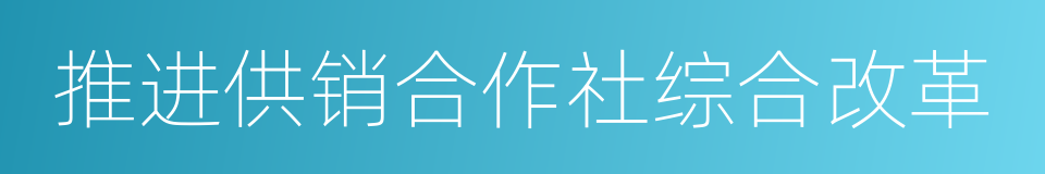 推进供销合作社综合改革的同义词