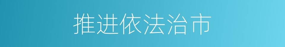 推进依法治市的同义词