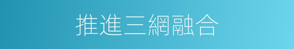 推進三網融合的同義詞