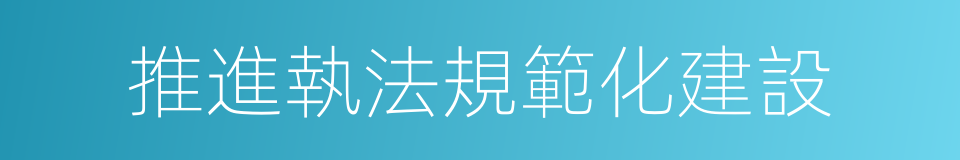 推進執法規範化建設的同義詞