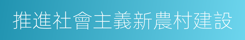 推進社會主義新農村建設的同義詞