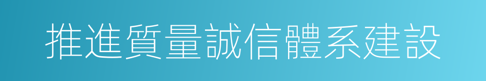 推進質量誠信體系建設的同義詞