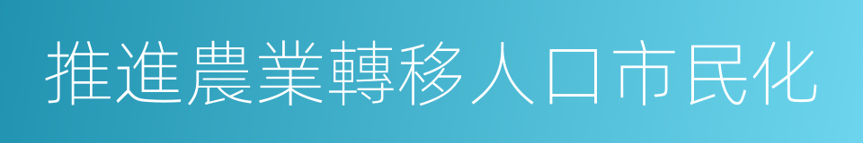 推進農業轉移人口市民化的同義詞