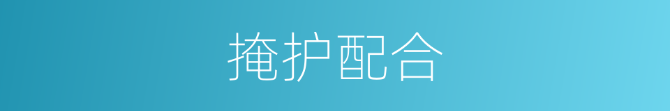 掩护配合的同义词