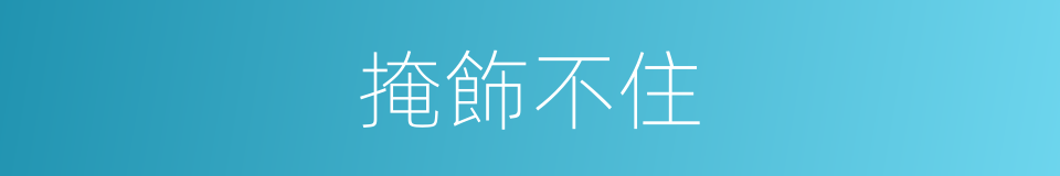 掩飾不住的同義詞