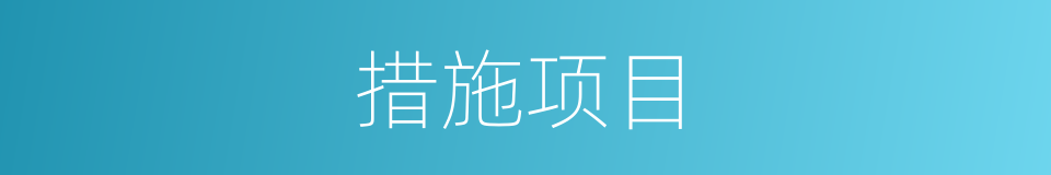 措施项目的同义词