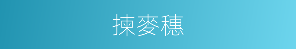 揀麥穗的同義詞