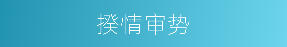 揆情审势的意思