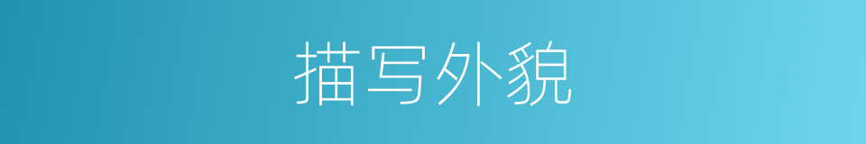 描写外貌的同义词