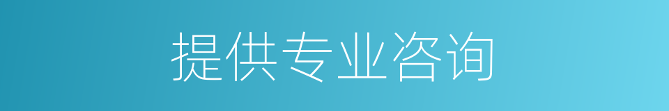提供专业咨询的同义词