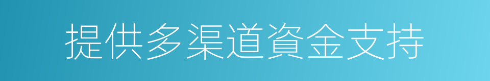 提供多渠道資金支持的同義詞