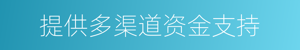 提供多渠道资金支持的同义词