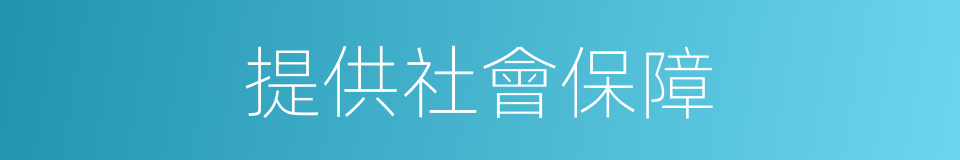 提供社會保障的同義詞
