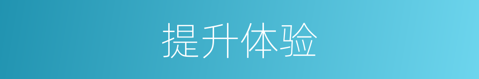 提升体验的同义词