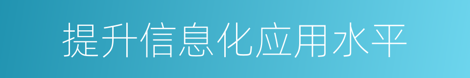 提升信息化应用水平的同义词