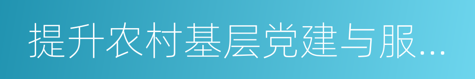 提升农村基层党建与服务经费保障的同义词