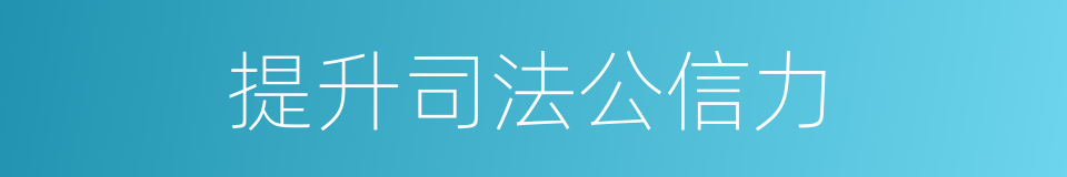 提升司法公信力的同义词