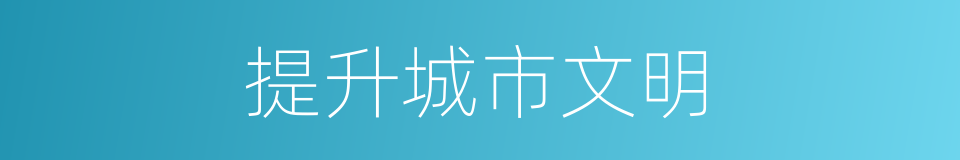 提升城市文明的同义词