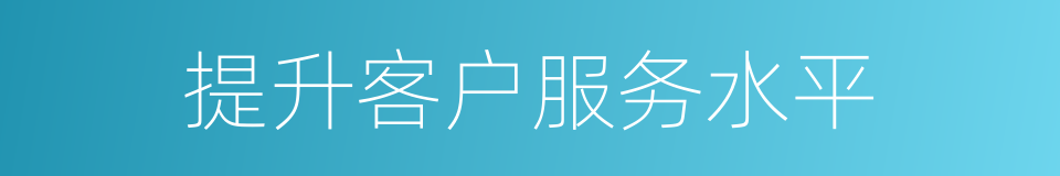 提升客户服务水平的同义词
