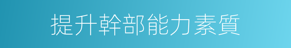 提升幹部能力素質的同義詞