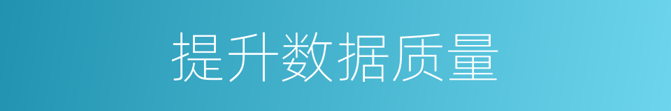 提升数据质量的同义词