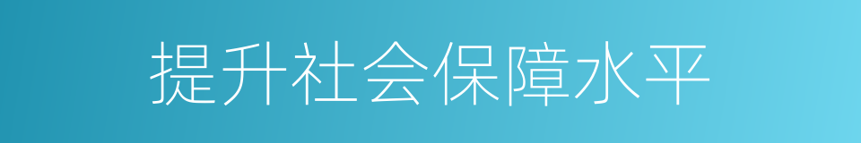 提升社会保障水平的同义词