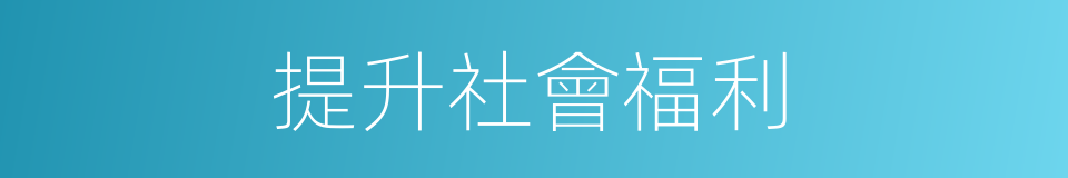 提升社會福利的同義詞